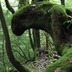 s-home鹿画像 018.jpg