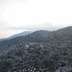 IMG_1332.jpg