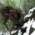 s-homeIMG_2140.jpg