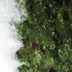 s-homeIMG_2155.jpg