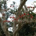 s-homeP3290780.jpg