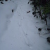 PC281113.JPG