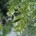 s-homePC281154.jpg