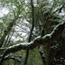 s-homeP1051248.jpg