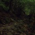 s-homeP6012203.jpg