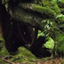 s-homeP6140157.jpg
