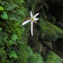 画像 294.jpg大門