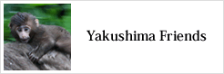 Yakushima Friends