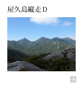 黒味岳～ヤクスギランド
