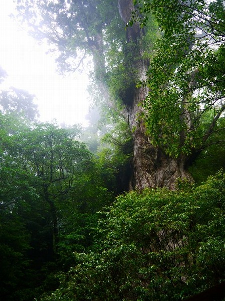 光と岩と　わあ