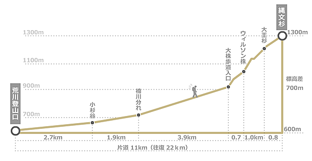 縄文杉の標高と距離