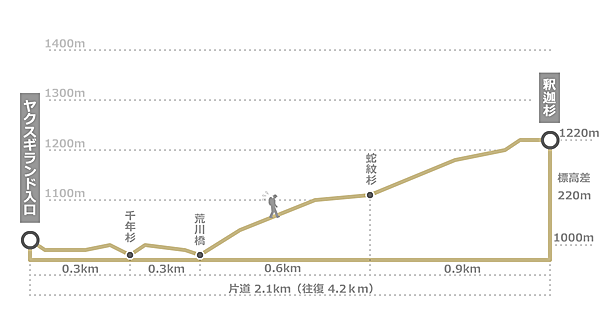 天文の森の標高と距離