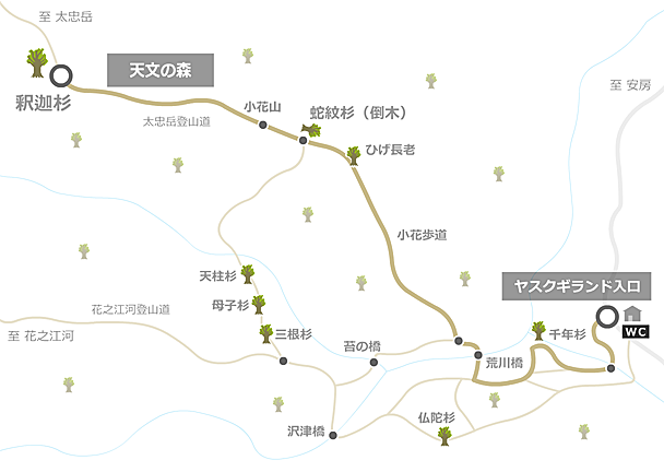 天文の森のコース地図