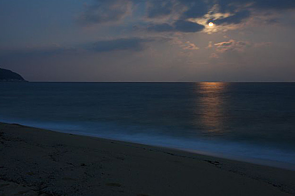 月夜の浜へ