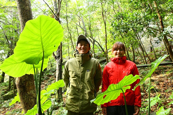 yakushima friends vol.6