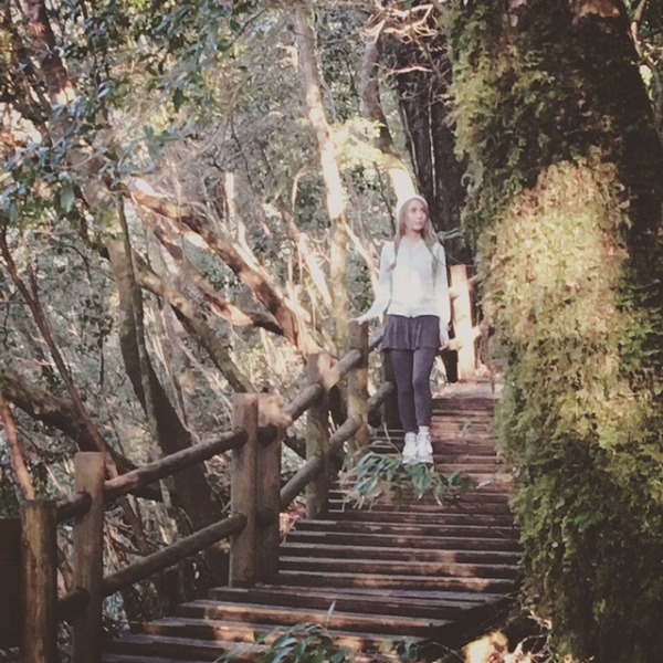 󗷂Ȃց@TEIC