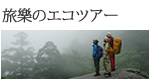 屋久島ガイド旅楽のエコツアー