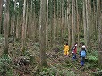 楠川歩道入口付近